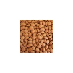 Almendro Glorieta 9 Almendro Glorieta -Wrights Tienda almendro glorieta 2