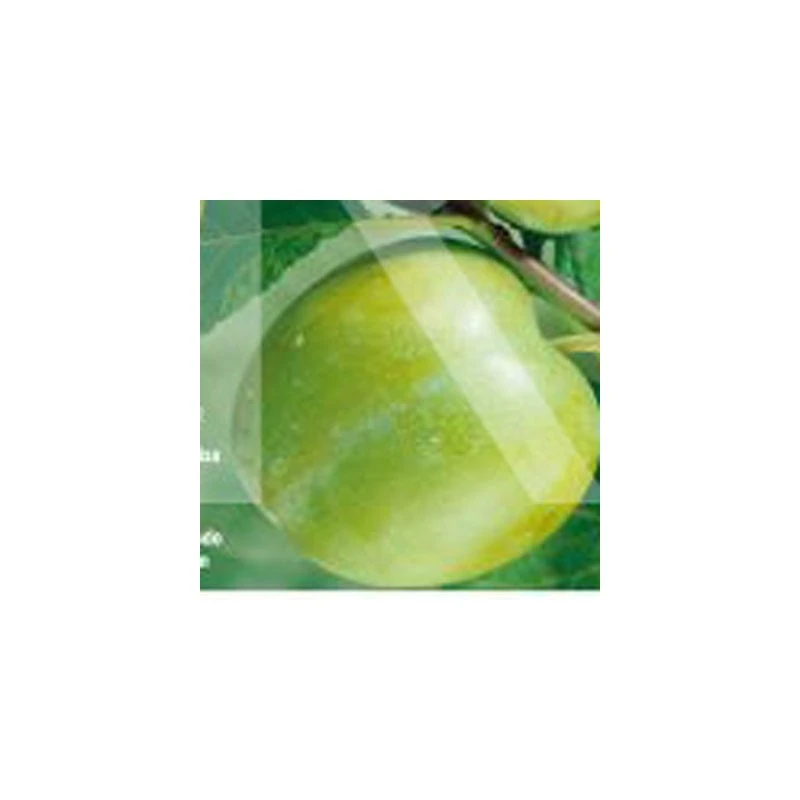 Ciruelo Claudia Verde 3 Ciruelo Claudia Verde