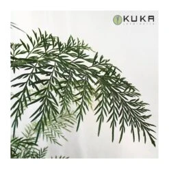 Grevillea Robusta -Wrights Tienda grevillea robusta 2