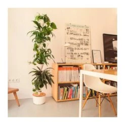 Jardin Vertical Citysens SMART Xx Blanco -Wrights Tienda jardin vertical citysens smart 4