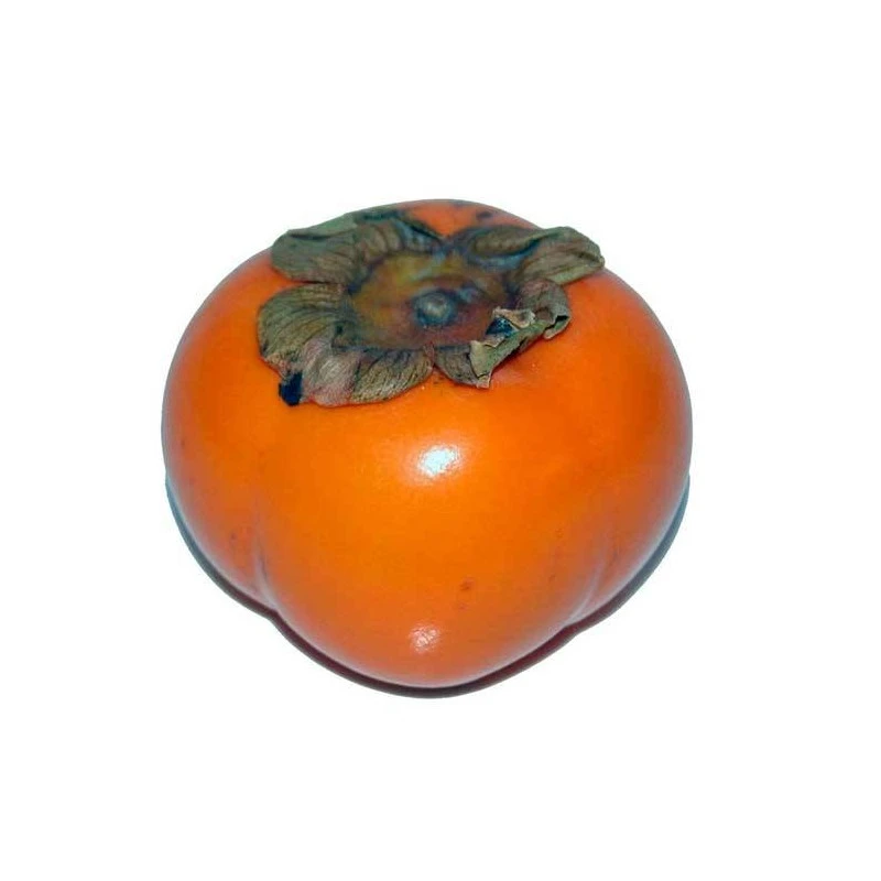 Kaki Fuyu 3 Kaki Fuyu