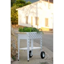 Mesa Huerto Trolley Dale