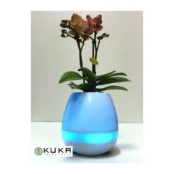 Orquídea Natural Con Música -Wrights Tienda orquidea natural con musical 4