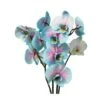 Orquídea Phalaenopsis Wond Of Nature -Wrights Tienda orquidea phalaenopsis wond of nature