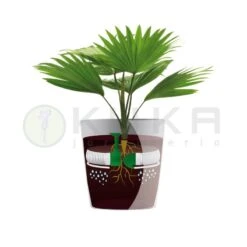 Sistema Autorriego Hydrum -Wrights Tienda sistema autorriego hydrum 1